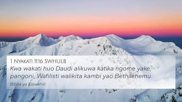 1 Nyakati 11:16 SWHULB Bible Verse Image