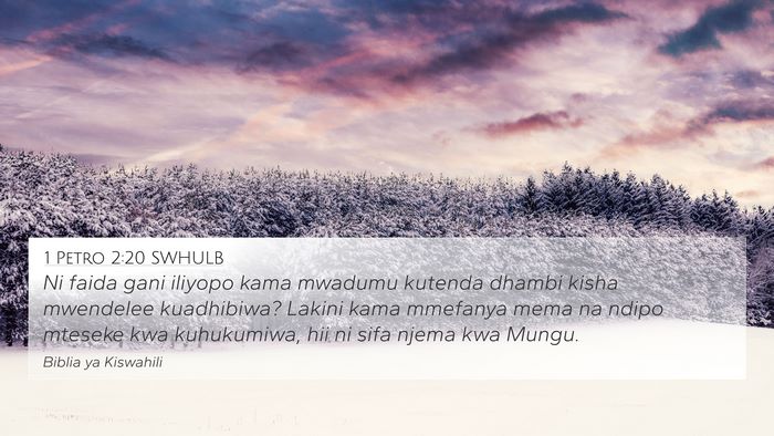 1 Petro 2:20 SWHULB Bible Verse Image