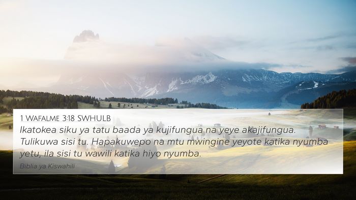 1 Wafalme 3:18 SWHULB 4K Wallpaper - Ikatokea siku ya tatu baada ya kujifungua na yeye - 4K Wallpaper Bible Verse