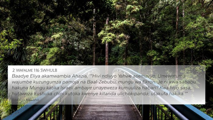 2 Wafalme 1:16 SWHULB Bible Verse Image