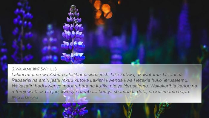 2 Wafalme 18:17 SWHULB Bible Verse Image