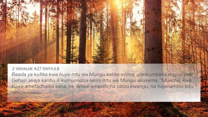2 Wafalme 4:27 SWHULB Bible Verse Image