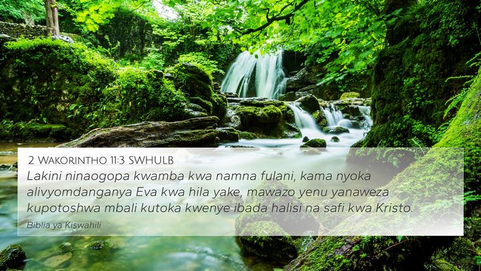 2 Wakorintho 11:3 SWHULB Bible Verse Image