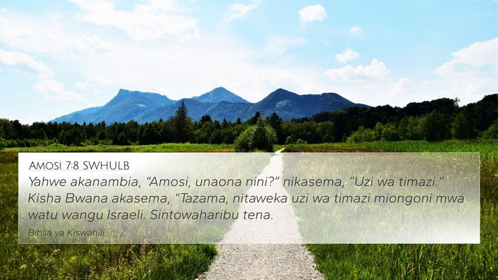 Amosi 7:8 SWHULB Bible Verse Image
