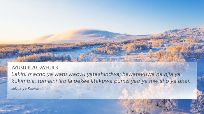 Ayubu 11:20 SWHULB 4K Wallpaper - Lakini macho ya watu waovu yatashindwa; - 4K Wallpaper Bible Verse