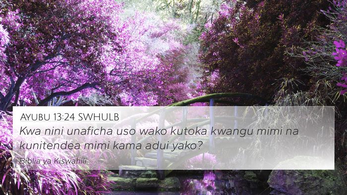 Ayubu 13:24 SWHULB Bible Verse Image