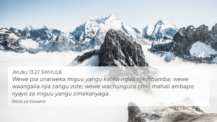 Ayubu 13:27 SWHULB Bible Verse Image