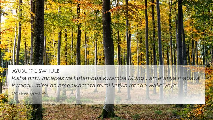 Ayubu 19:6 SWHULB Bible Verse Image