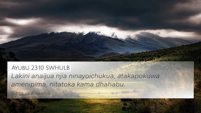 Ayubu 23:10 SWHULB Bible Verse Image
