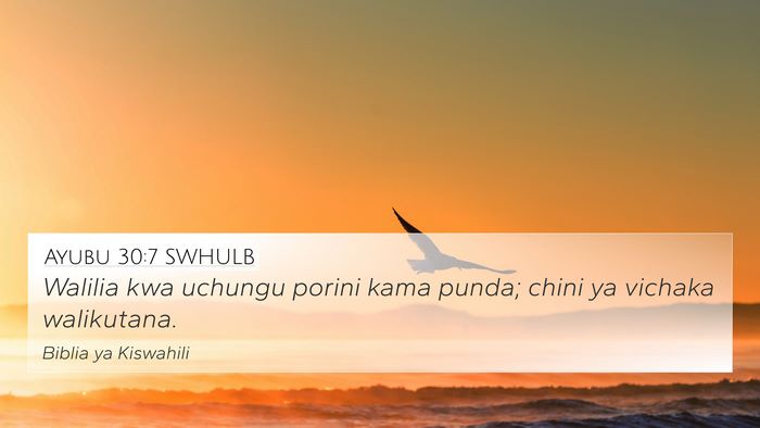 Ayubu 30:7 SWHULB 4K Wallpaper - Walilia kwa uchungu porini kama punda; chini ya - 4K Wallpaper Bible Verse