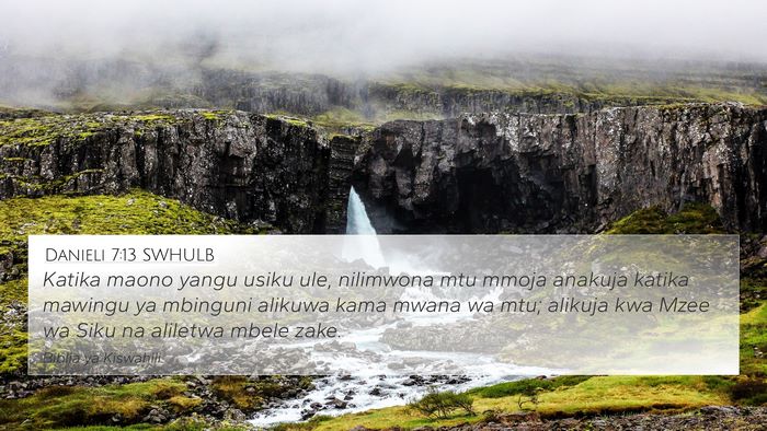 Danieli 7:13 SWHULB Bible Verse Image