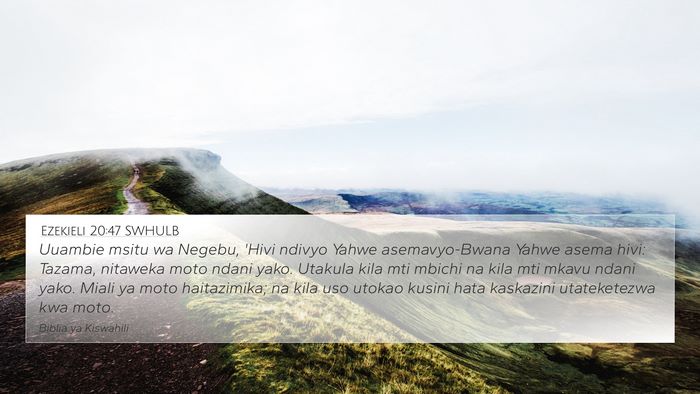 Ezekieli 20:47 SWHULB Bible Verse Image