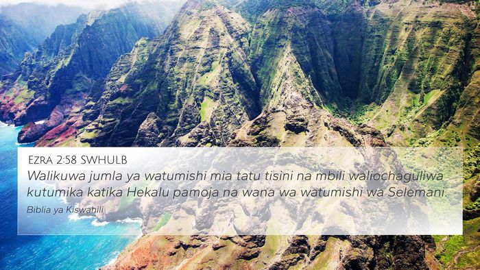 Ezra 2:58 SWHULB Bible Verse Image
