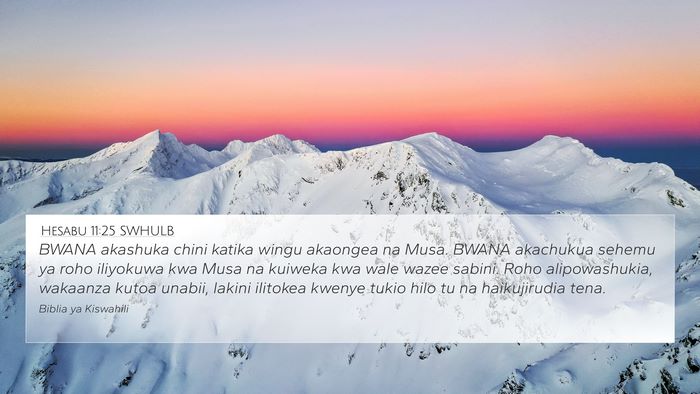 Hesabu 11:25 SWHULB Bible Verse Image