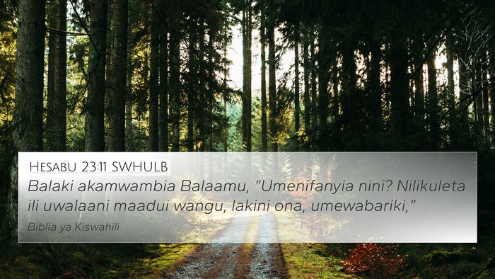 Hesabu 23:11 SWHULB 4K Wallpaper - Balaki akamwambia Balaamu, “Umenifanyia nini? - 4K Wallpaper Bible Verse