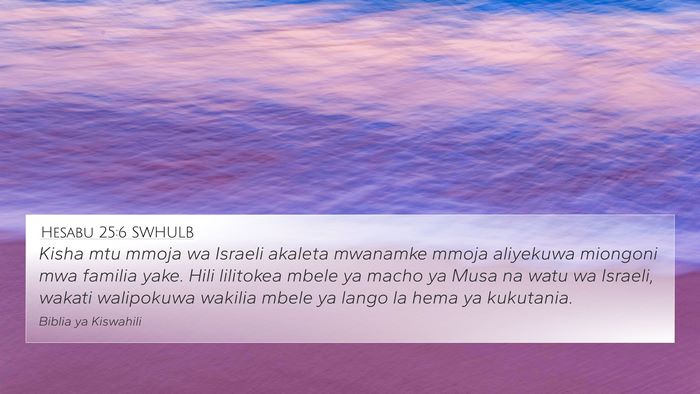 Hesabu 25:6 SWHULB Bible Verse Image