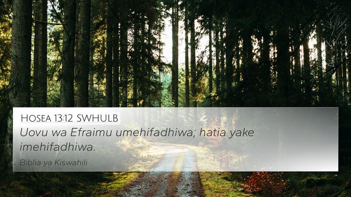Hosea 13:12 SWHULB Bible Verse Image