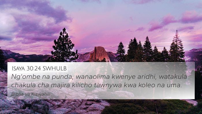Isaya 30:24 SWHULB 4K Wallpaper - Ng'ombe na punda, wanaolima kwenye aridhi, - 4K Wallpaper Bible Verse