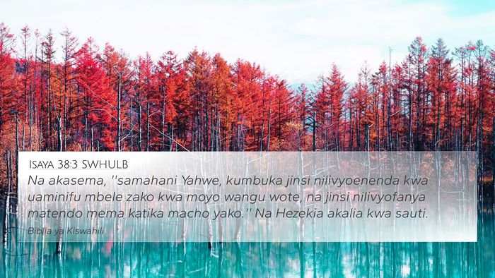 Isaya 38:3 SWHULB Bible Verse Image