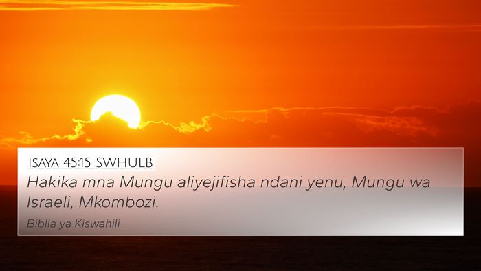 Isaya 45:15 SWHULB Bible Verse Image