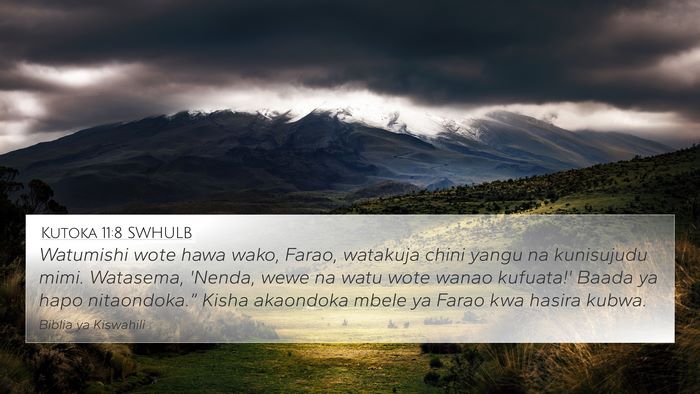 Kutoka 11:8 SWHULB Bible Verse Image