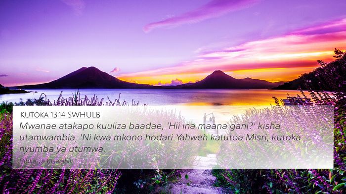 Kutoka 13:14 SWHULB Bible Verse Image