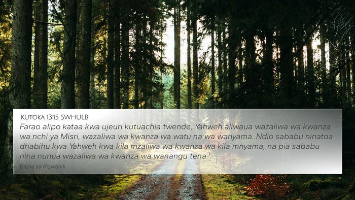 Kutoka 13:15 SWHULB Bible Verse Image