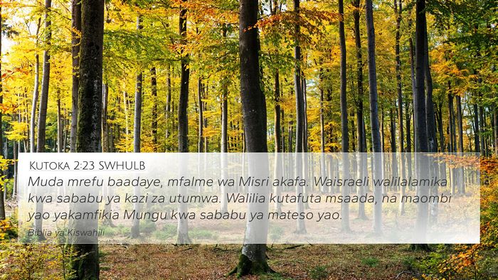 Kutoka 2:23 SWHULB Bible Verse Image