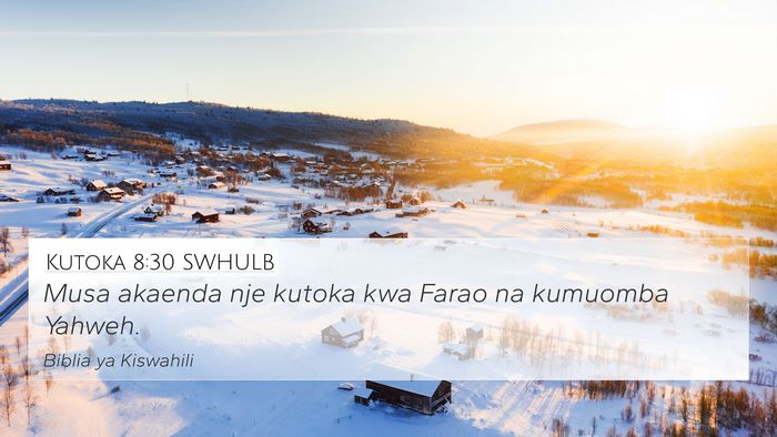 Kutoka 8:30 SWHULB 4K Wallpaper - Musa akaenda nje kutoka kwa Farao na kumuomba - 4K Wallpaper Bible Verse