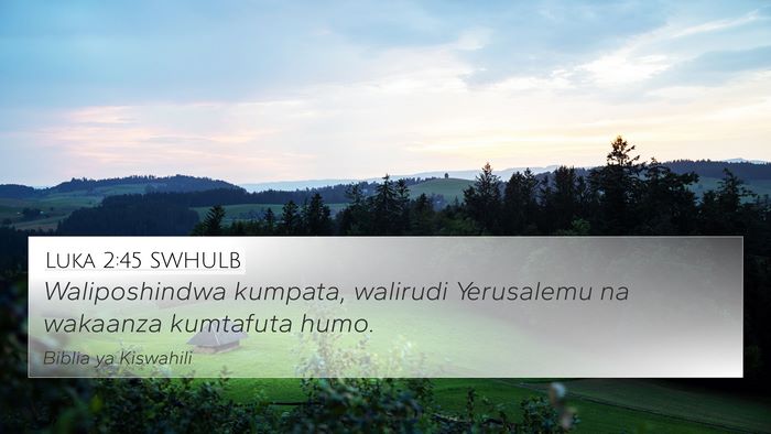 Luka 2:45 SWHULB 4K Wallpaper - Waliposhindwa kumpata, walirudi Yerusalemu na - 4K Wallpaper Bible Verse