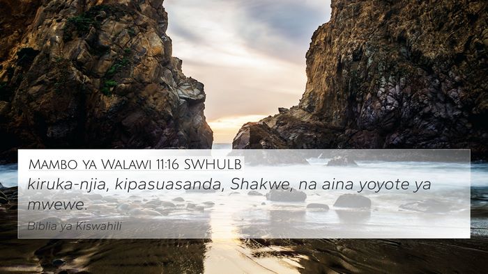 Mambo ya Walawi 11:16 SWHULB 4K Wallpaper - kiruka-njia, kipasuasanda, Shakwe, na aina yoyote - 4K Wallpaper Bible Verse