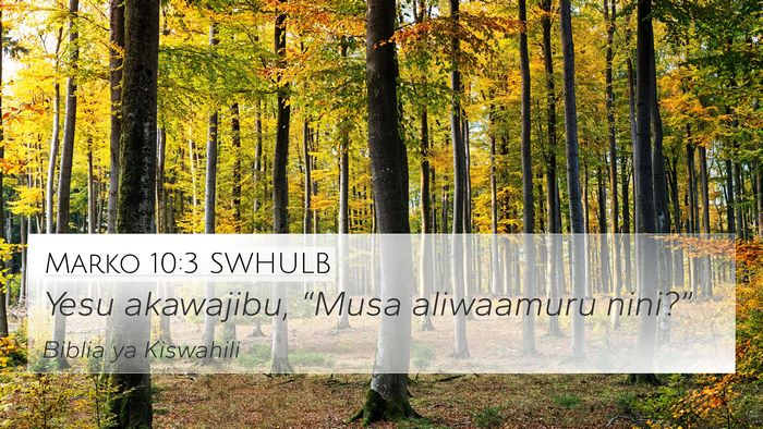 Marko 10:3 SWHULB 4K Wallpaper - Yesu akawajibu, “Musa aliwaamuru - 4K Wallpaper Bible Verse