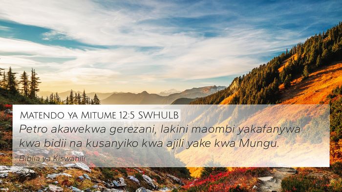 Matendo ya Mitume 12:5 SWHULB Bible Verse Image