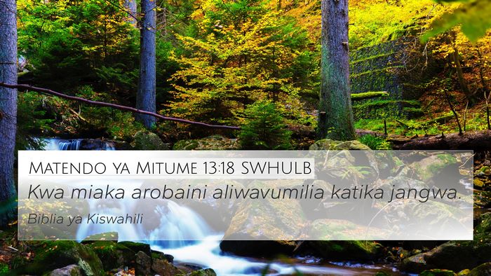 Matendo ya Mitume 13:18 SWHULB Bible Verse Image