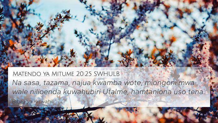 Matendo ya Mitume 20:25 SWHULB Bible Verse Image