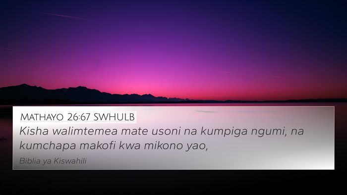 Mathayo 26:67 SWHULB Bible Verse Image