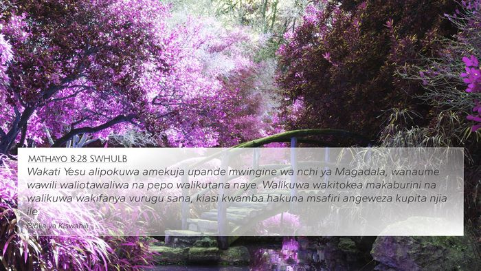 Mathayo 8:28 SWHULB Bible Verse Image