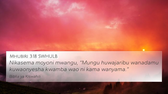 Mhubiri 3:18 SWHULB Bible Verse Image