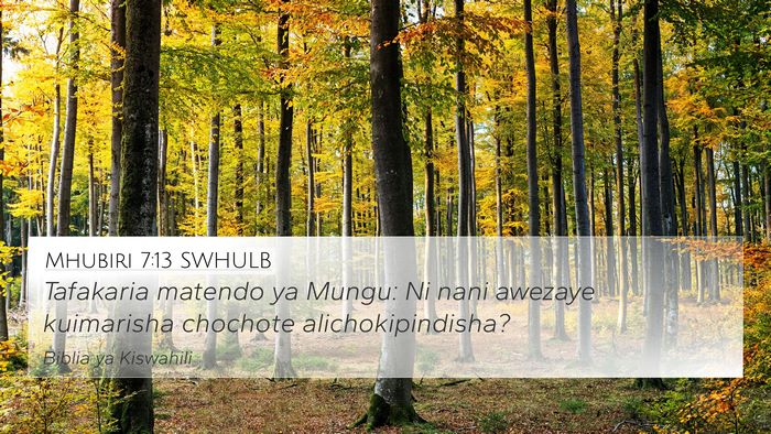 Mhubiri 7:13 SWHULB Bible Verse Image