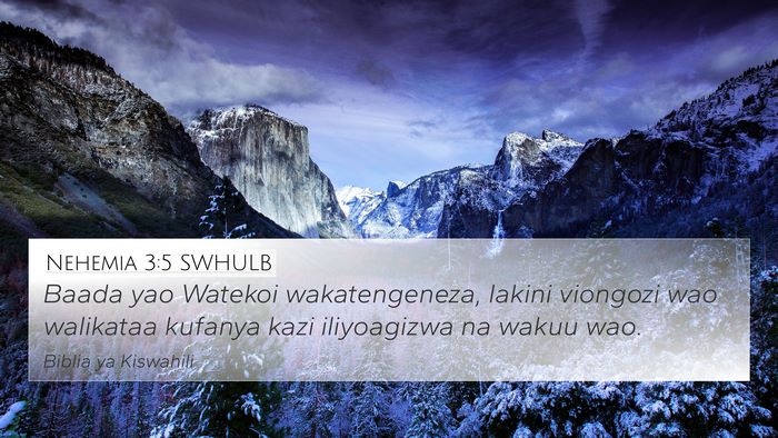 Nehemia 3:5 SWHULB Bible Verse Image