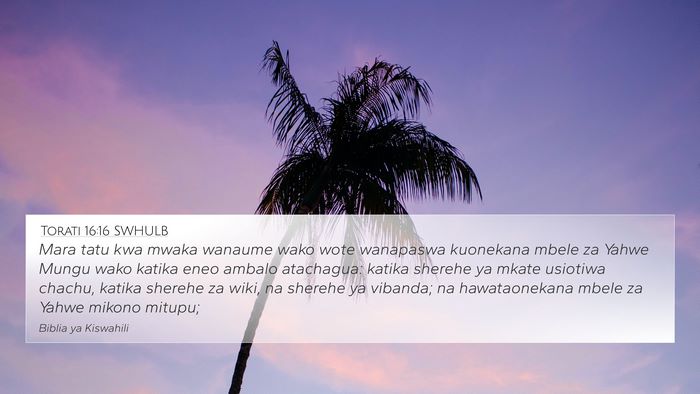 Torati 16:16 SWHULB Bible Verse Image