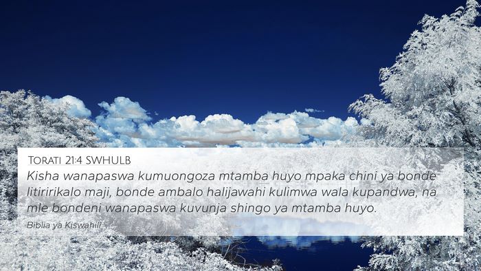 Torati 21:4 SWHULB Bible Verse Image