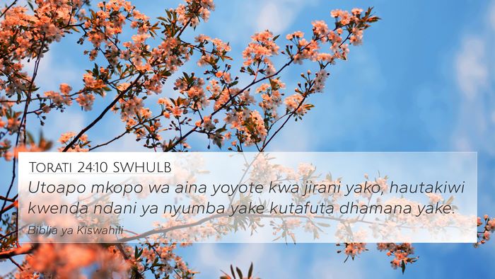 Torati 24:10 SWHULB Bible Verse Image