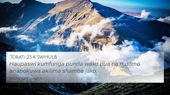 Torati 25:4 SWHULB Bible Verse Image