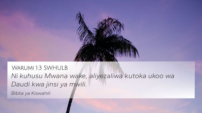 Warumi 1:3 SWHULB Bible Verse Image