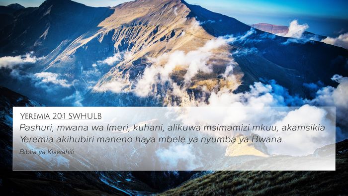 Yeremia 20:1 SWHULB Bible Verse Image