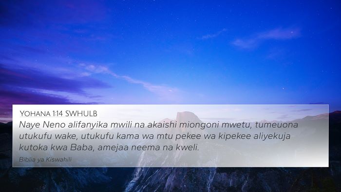 Yohana 1:14 SWHULB Bible Verse Image