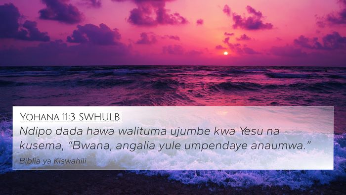 Yohana 11:3 SWHULB Bible Verse Image