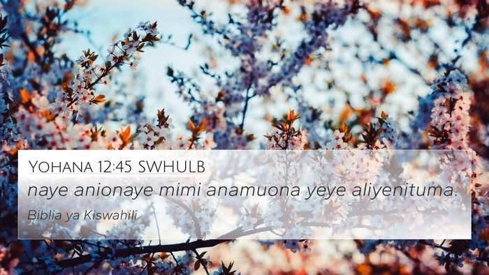 Yohana 12:45 SWHULB Bible Verse Image