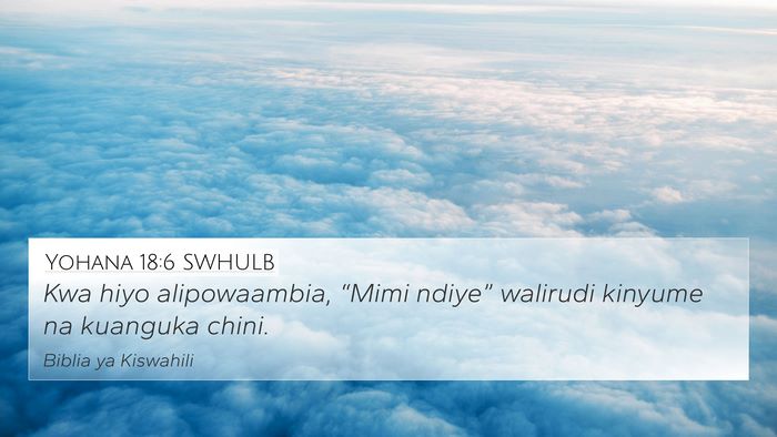 Yohana 18:6 SWHULB Bible Verse Image
